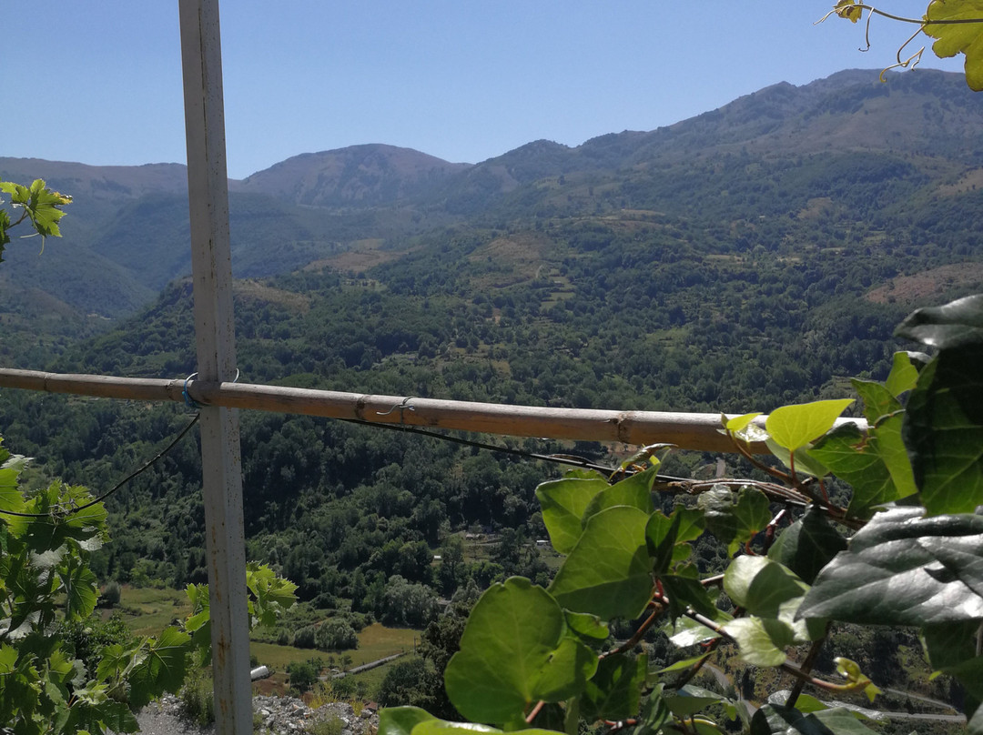 Le Due Lanterne主图