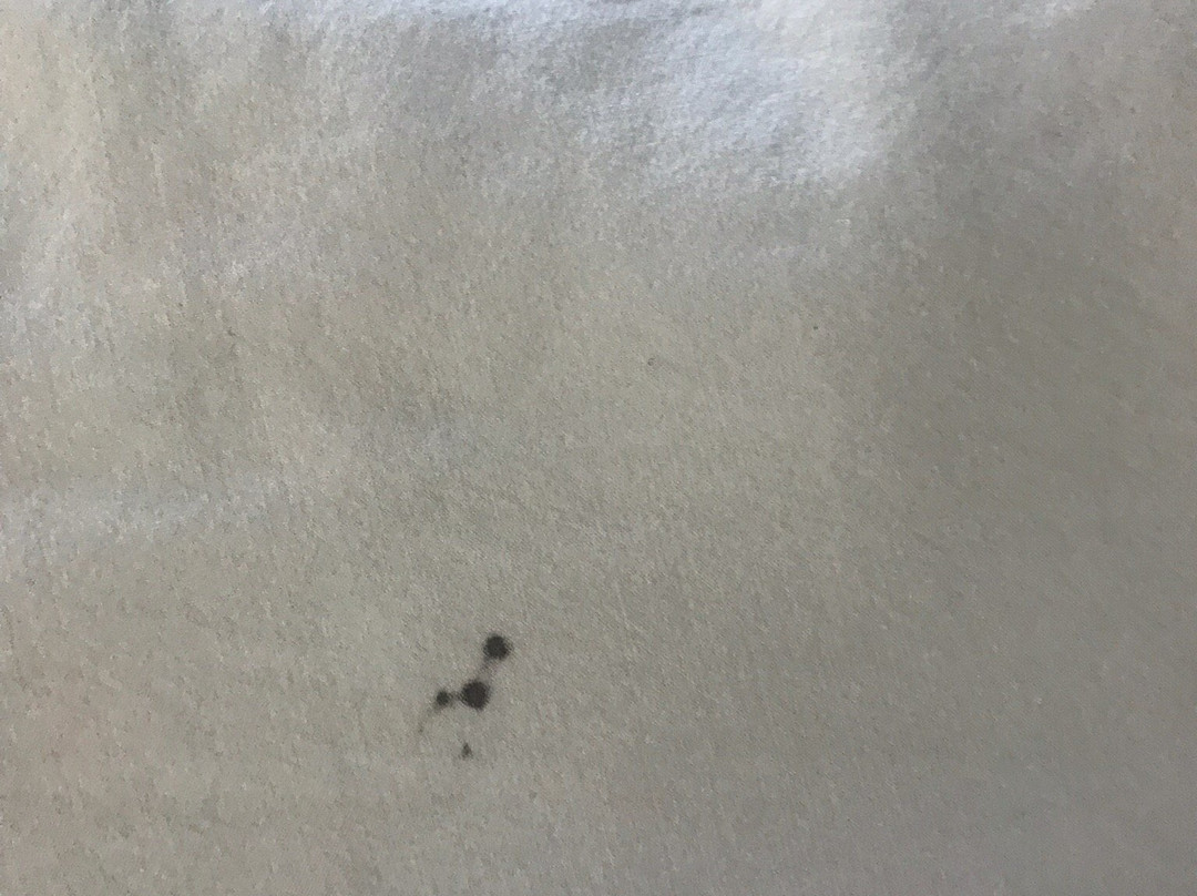 Super 8 by Wyndham Rock Falls Sterling Area主图