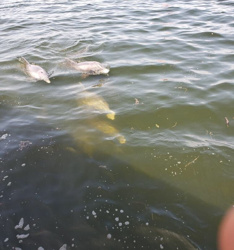 Port Sanibel Marina-迈尔斯堡必去景点