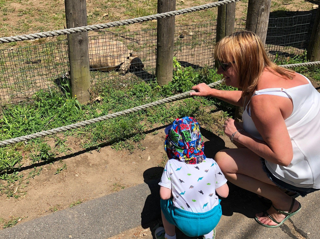 Silverman's Farm-Easton必去景点