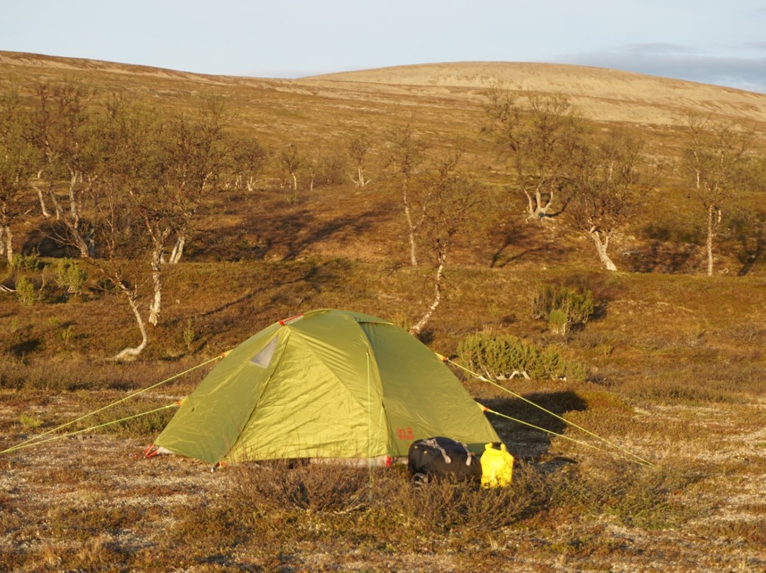Kevo Strict Nature Reserve-Utsjoki必去景点
