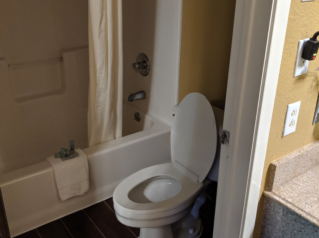 SureStay By Best Western Mt Pleasant主图