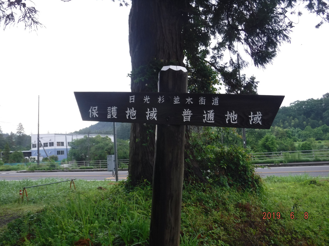 Cryptomeria Avenue-日光市必去景点