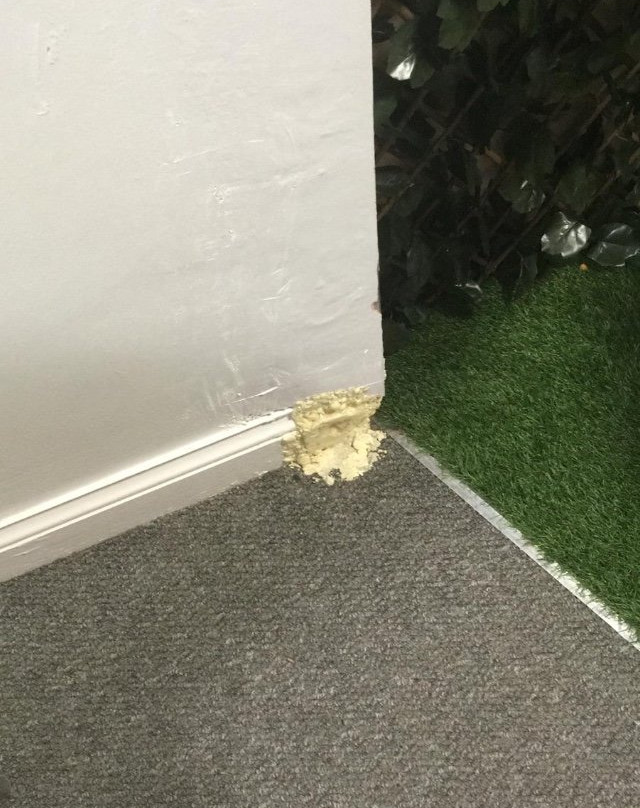 Speckled Frogs Play Centre-克罗斯比必去景点