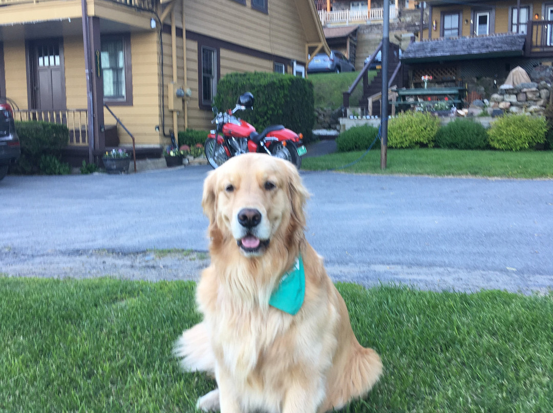 Trout House Village Resort主图