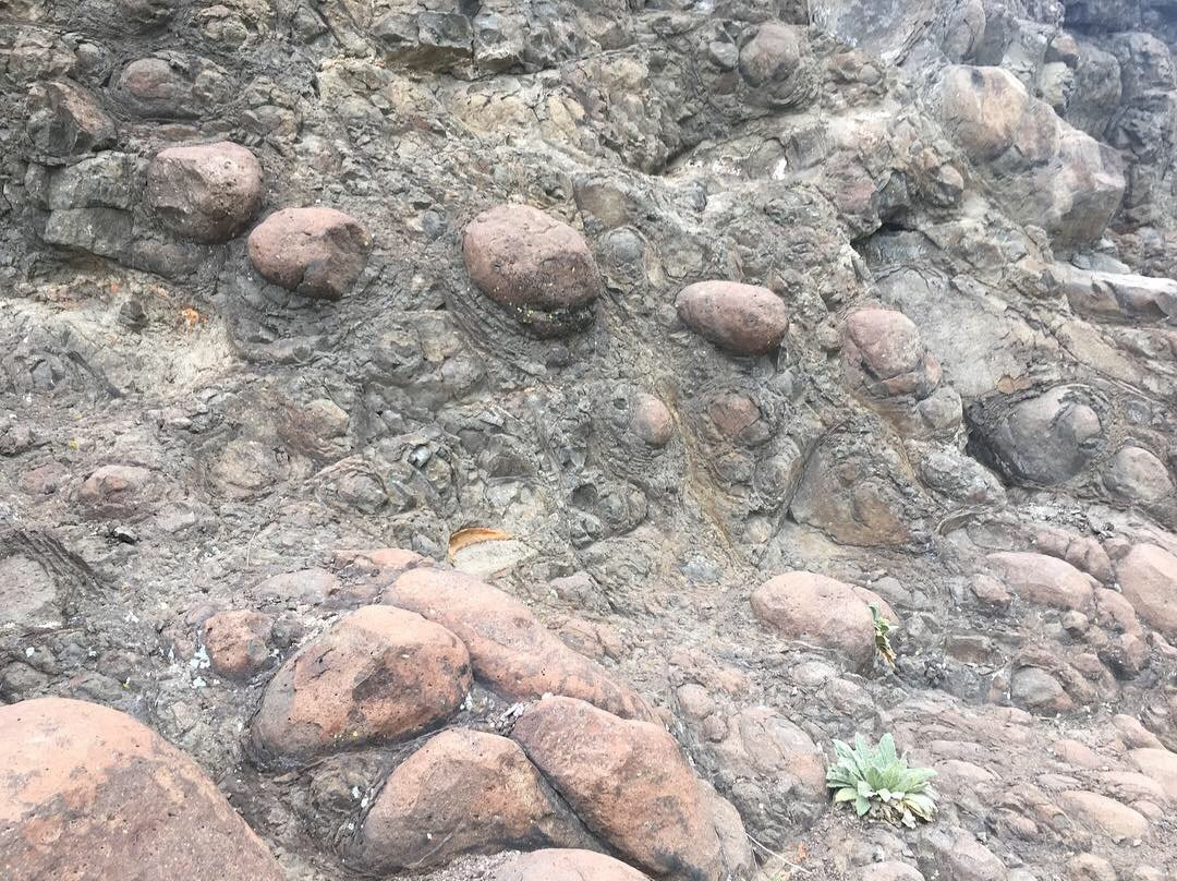 North Table Mountain Park-戈尔登必去景点