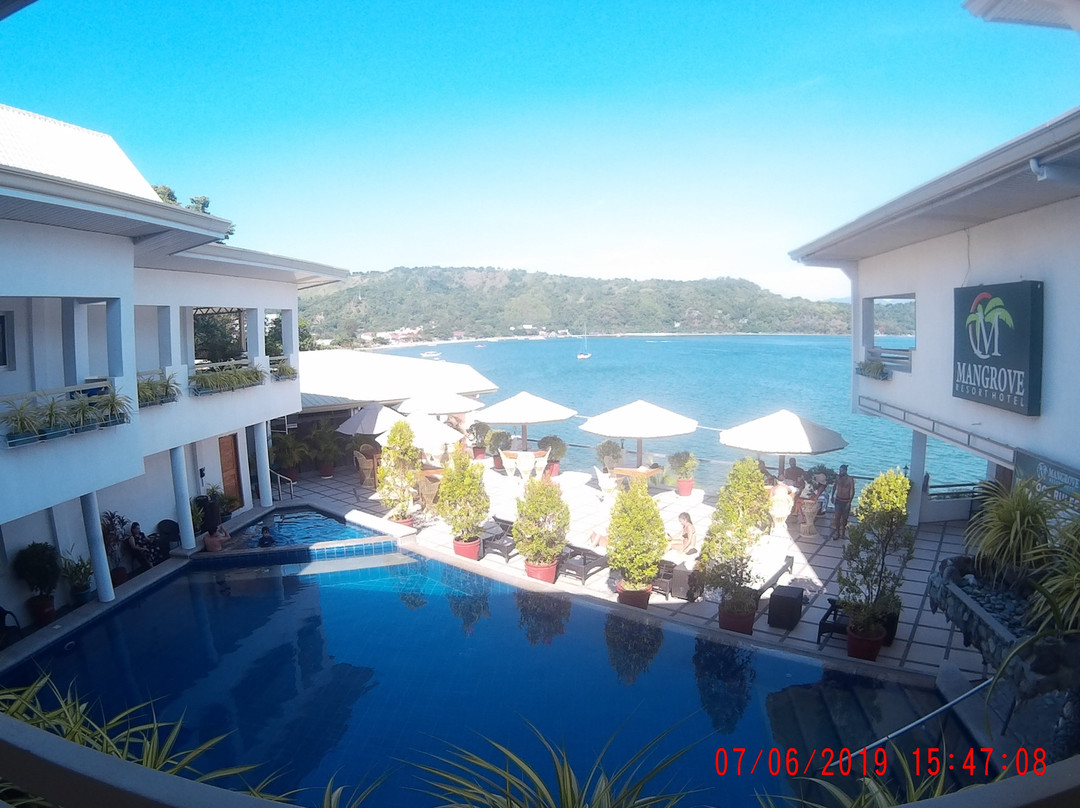 红树林度假式酒店主图