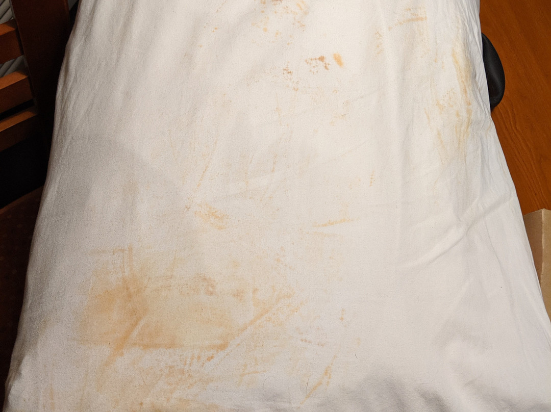 Rodeway Inn Silver Creek Inn主图