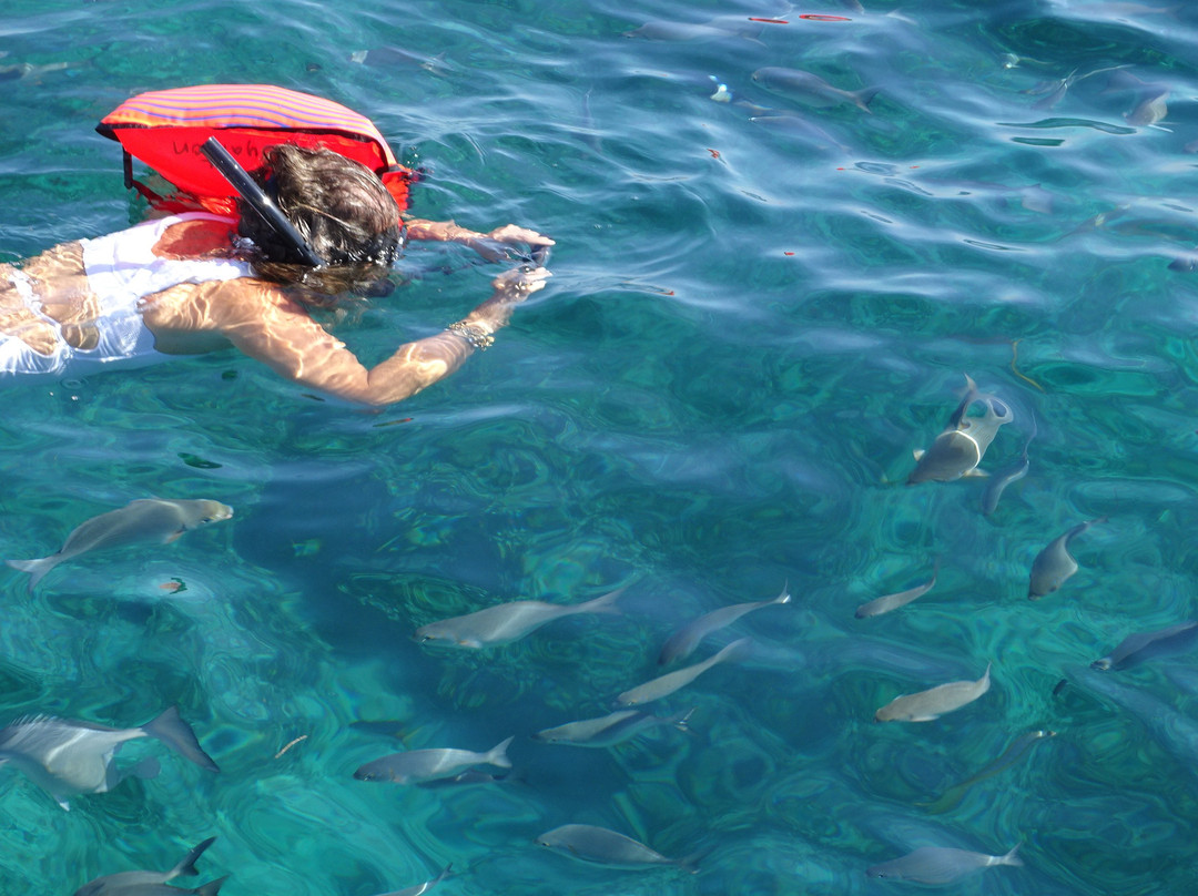 Royalton Hicacos Varadero Resort & Spa主图