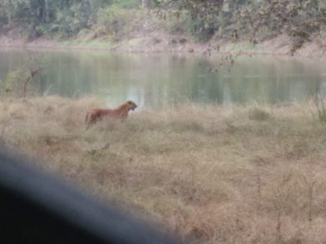 Nandan Van Zoo & Safari景点图片
