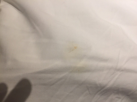 蓝鸟汽车旅馆主图