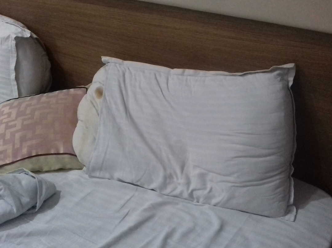 Hotel Sobti Plaza主图