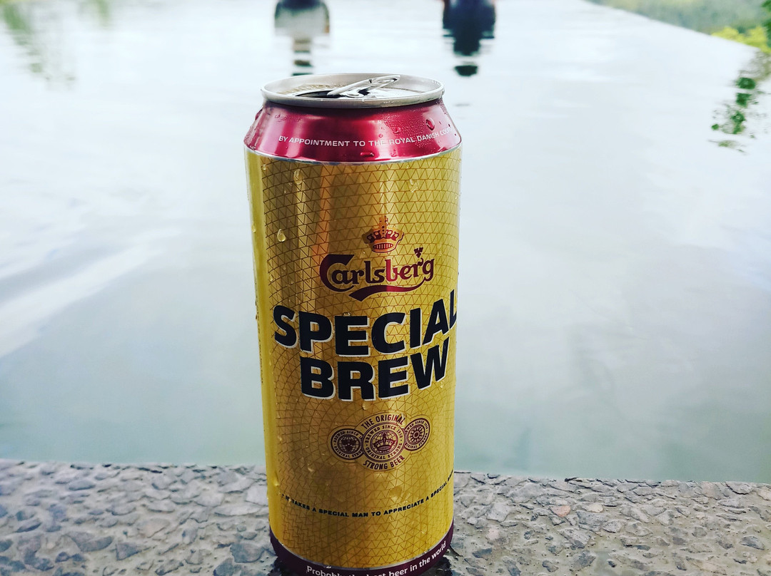 Nest Wood Bungalow主图