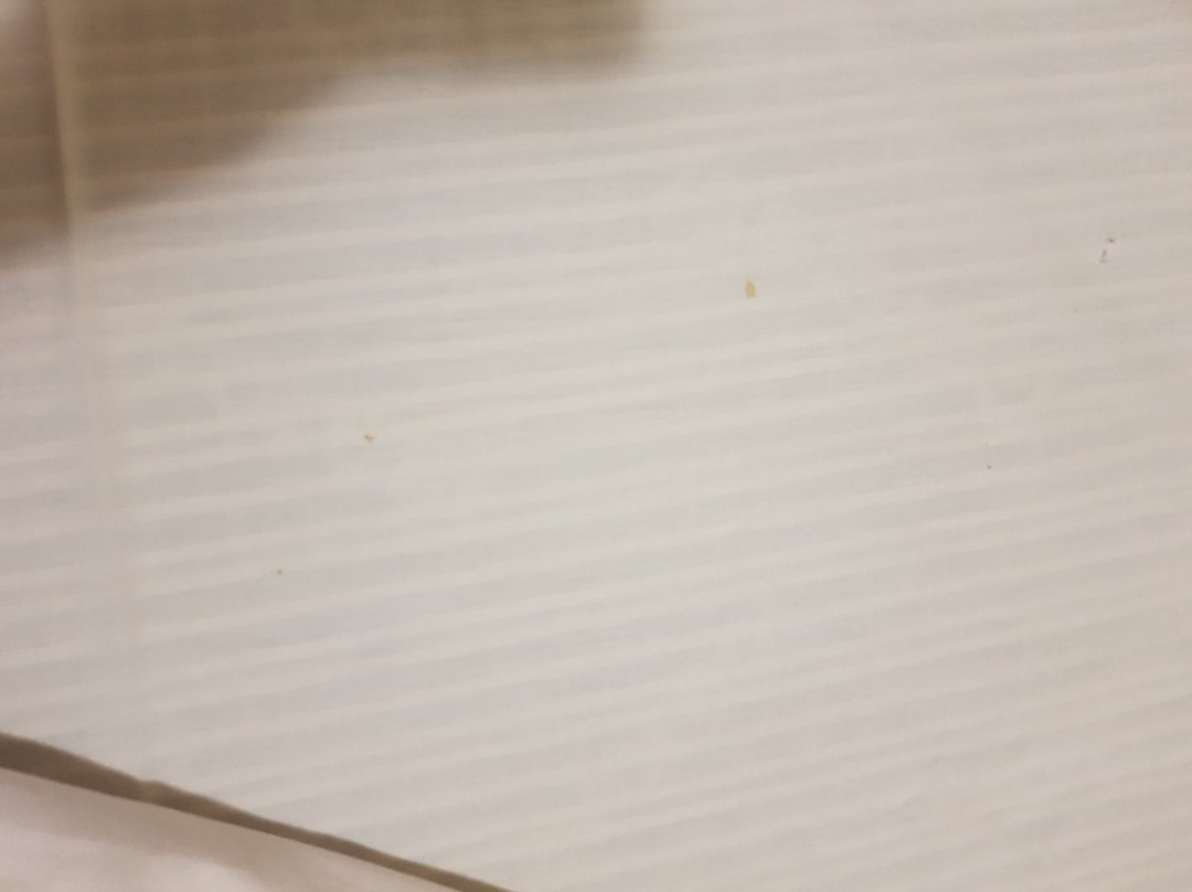 Chrysland Hotel主图