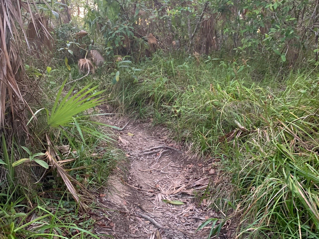 The Peak Forestry Reserve景点图片