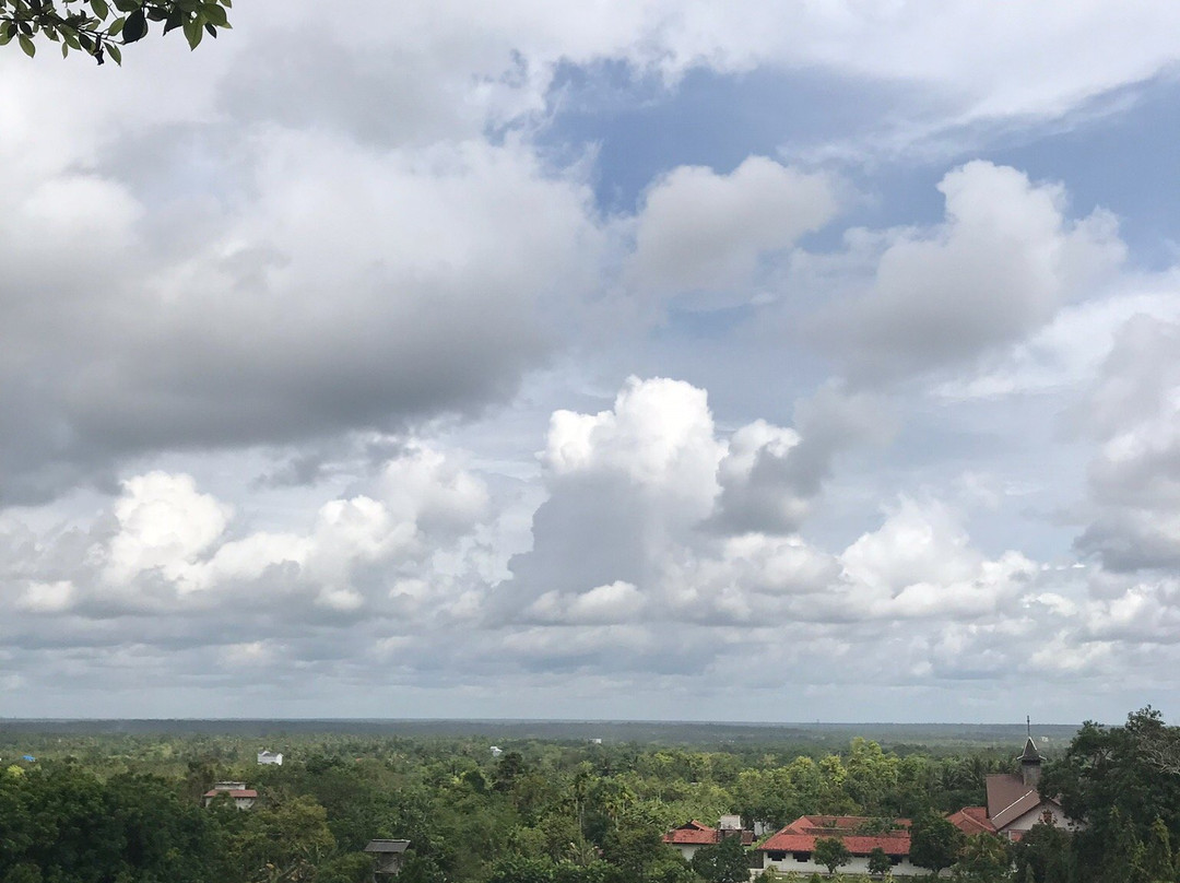 Central Borneo Guide-帕朗卡拉亚必去景点