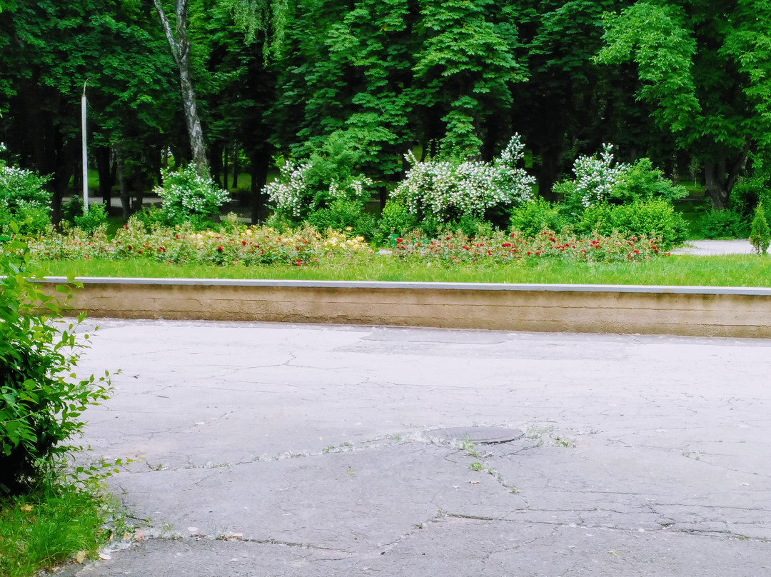 Parcul Alunelul-基希讷乌必去景点