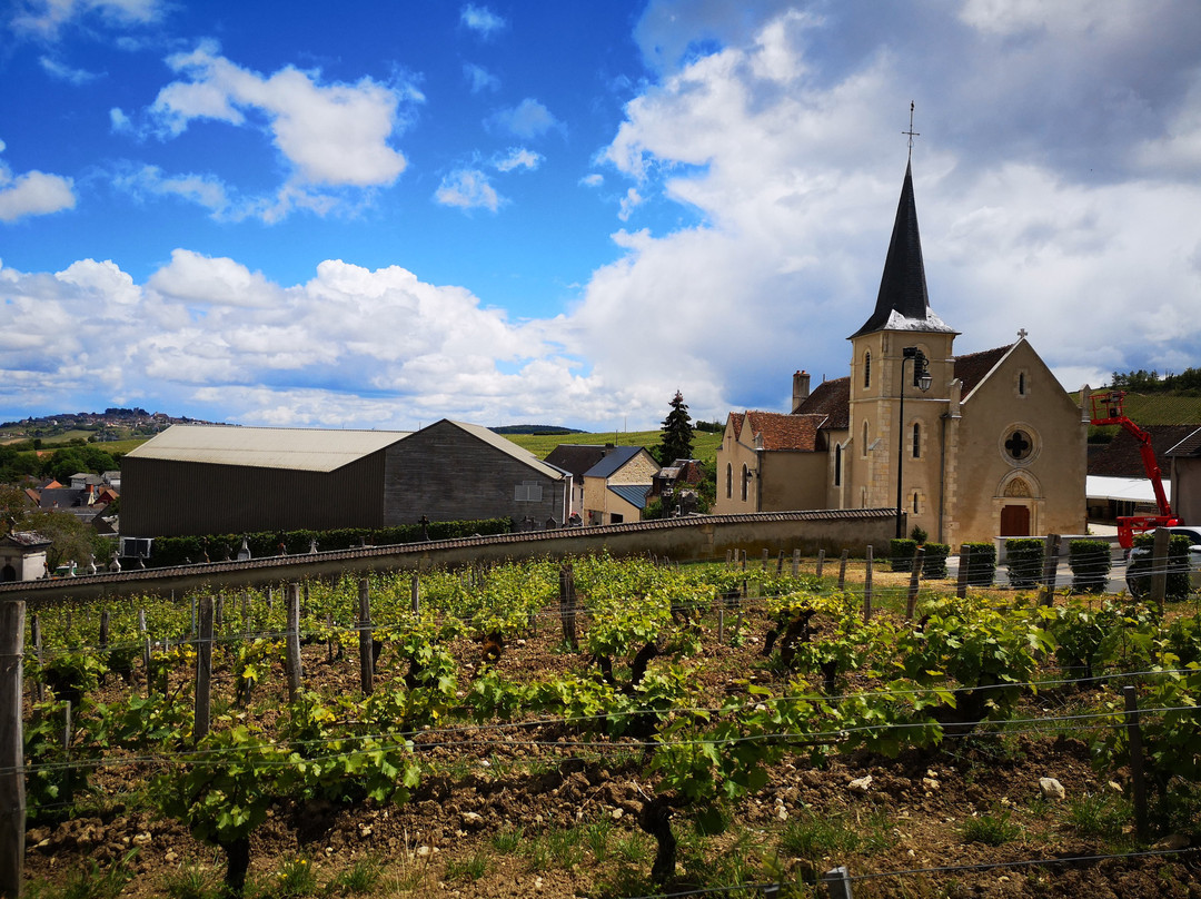 Domaine Henri Bourgeois-桑塞尔必去景点
