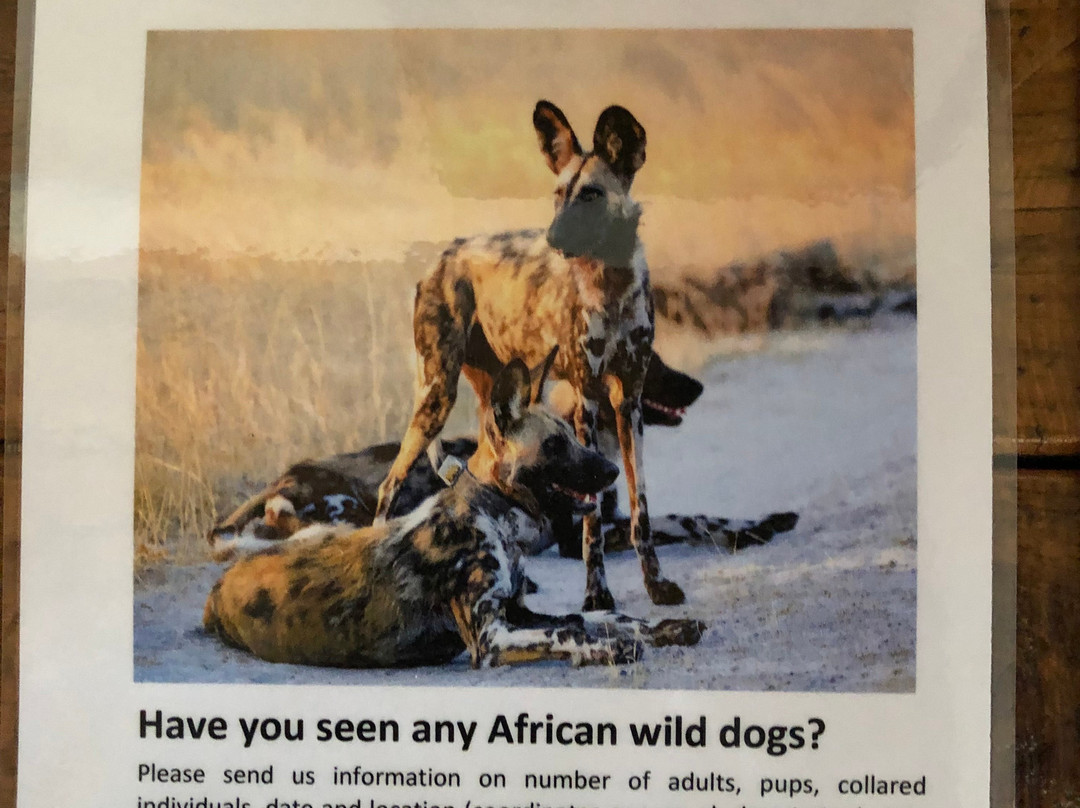 Khwai Guest House主图