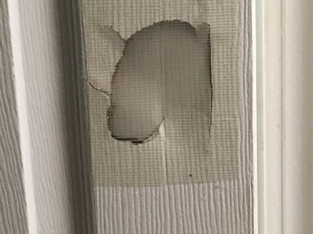 Baymont by Wyndham Kingsland主图