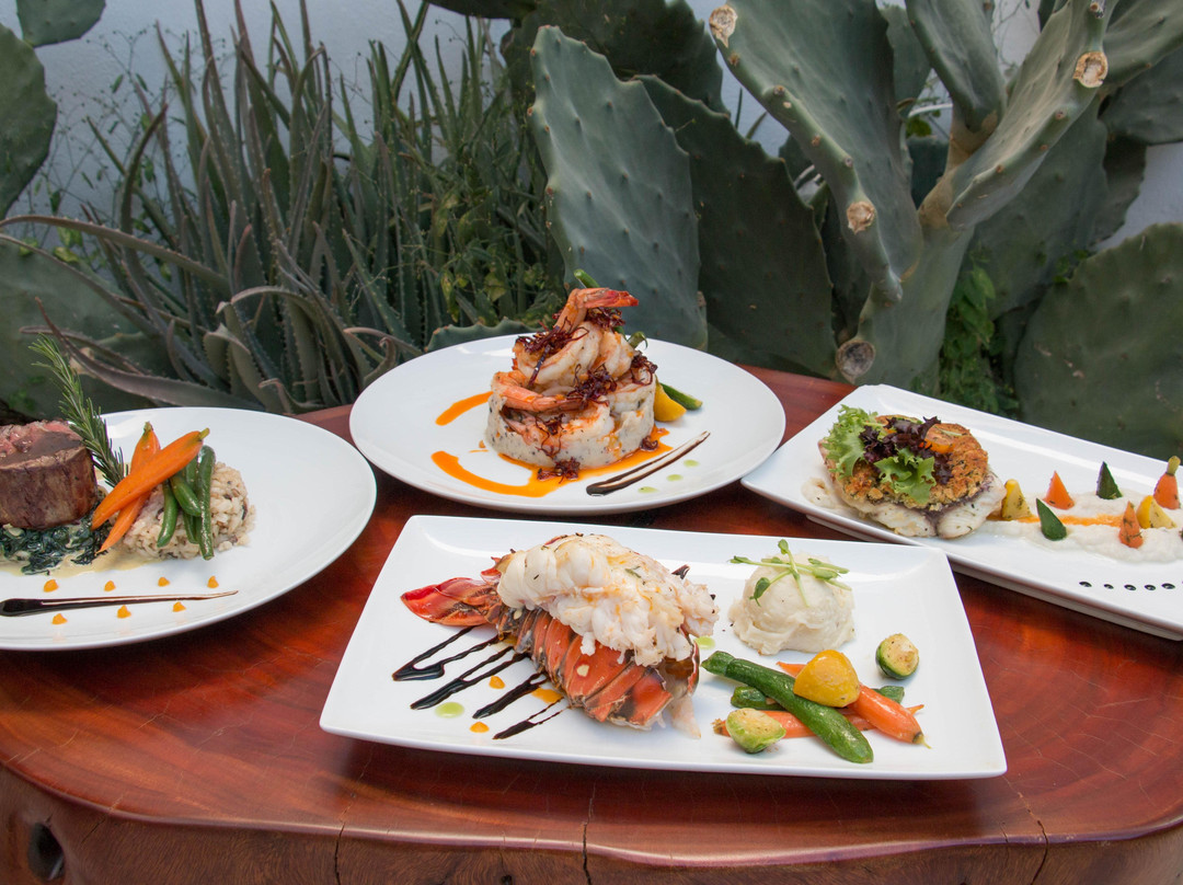 Gourmet Cabo Catering-卡波圣卢卡斯必去景点