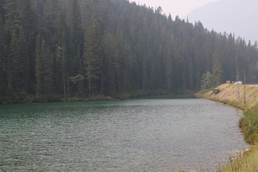 Olive Lake景点图片