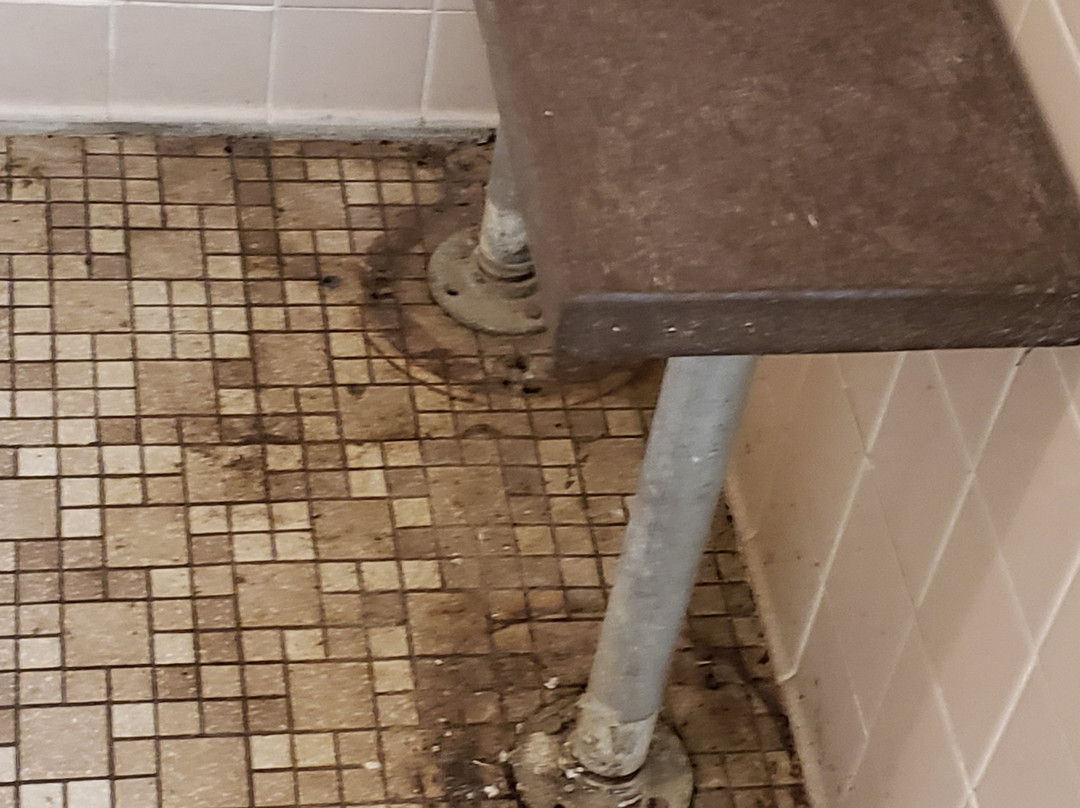 Greenbelt Park-格林贝尔特必去景点