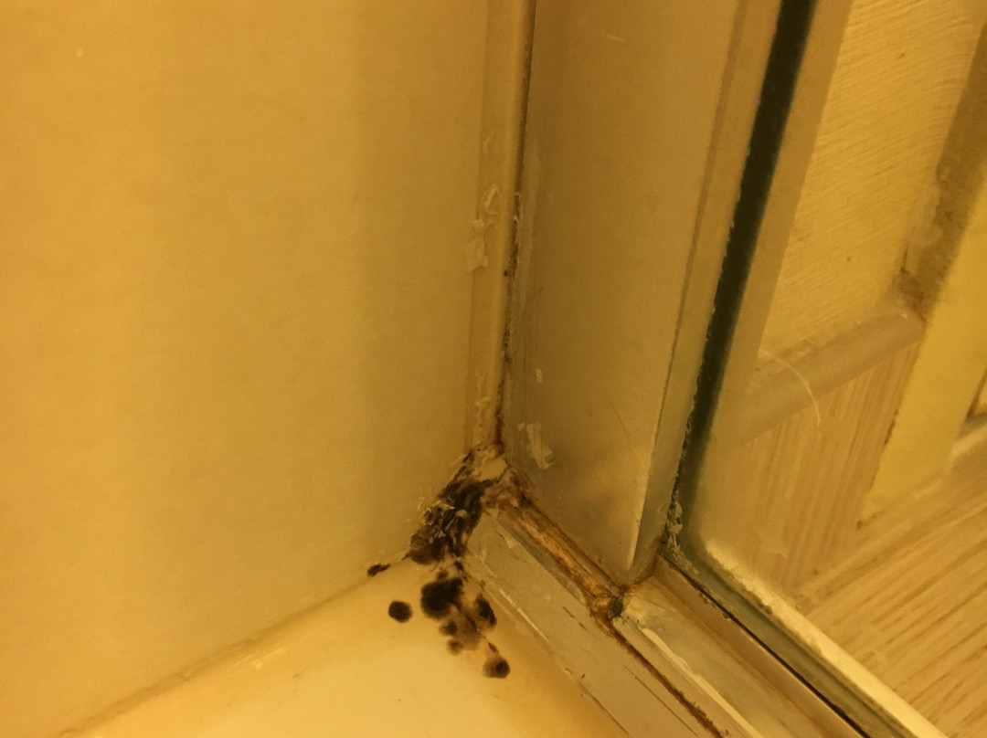 杜勒斯机场-斯德林逸林酒店主图