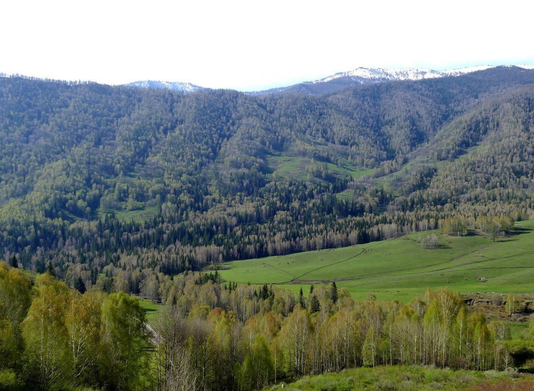 贾登峪森林公园景点图片