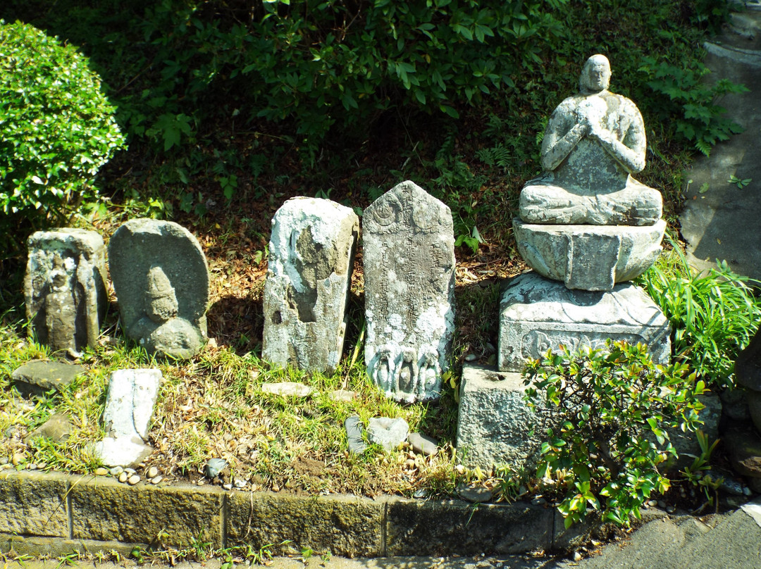 Shinsho-ji Temple-大矶町必去景点
