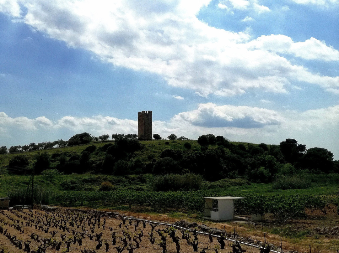 Papagiannakos Winery-Markopoulo Mesogeas必去景点