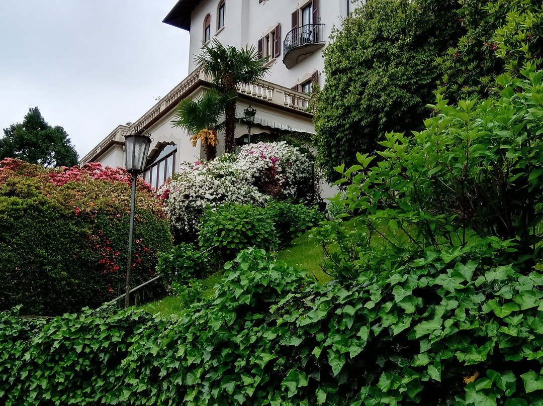 Hotel Du Parc主图