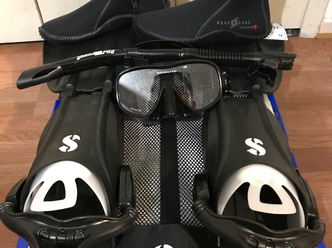 Pacific Wilderness-橘子郡必去景点