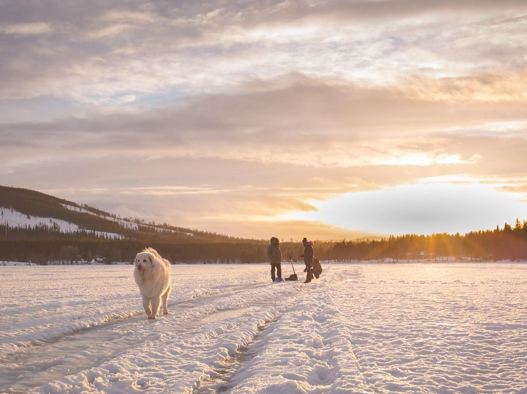 3D NORDIC, chiens de traîneau-Praz Sur Arly必去景点