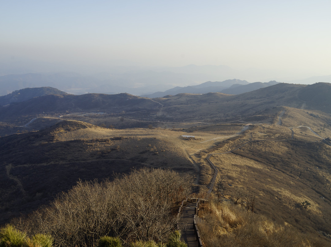 Hwangmaesan County Park-陕州郡必去景点