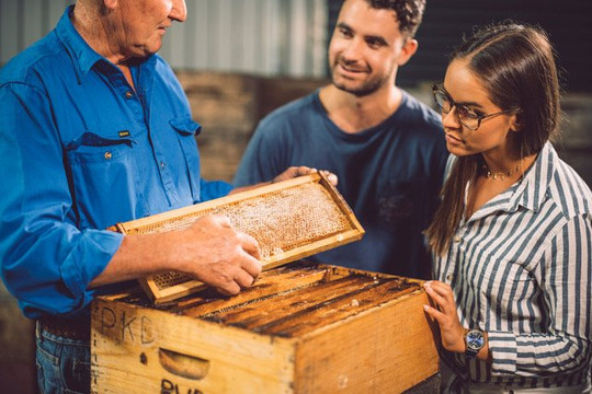 Island Beehive - Kangaroo Island Ligurian Bee Co