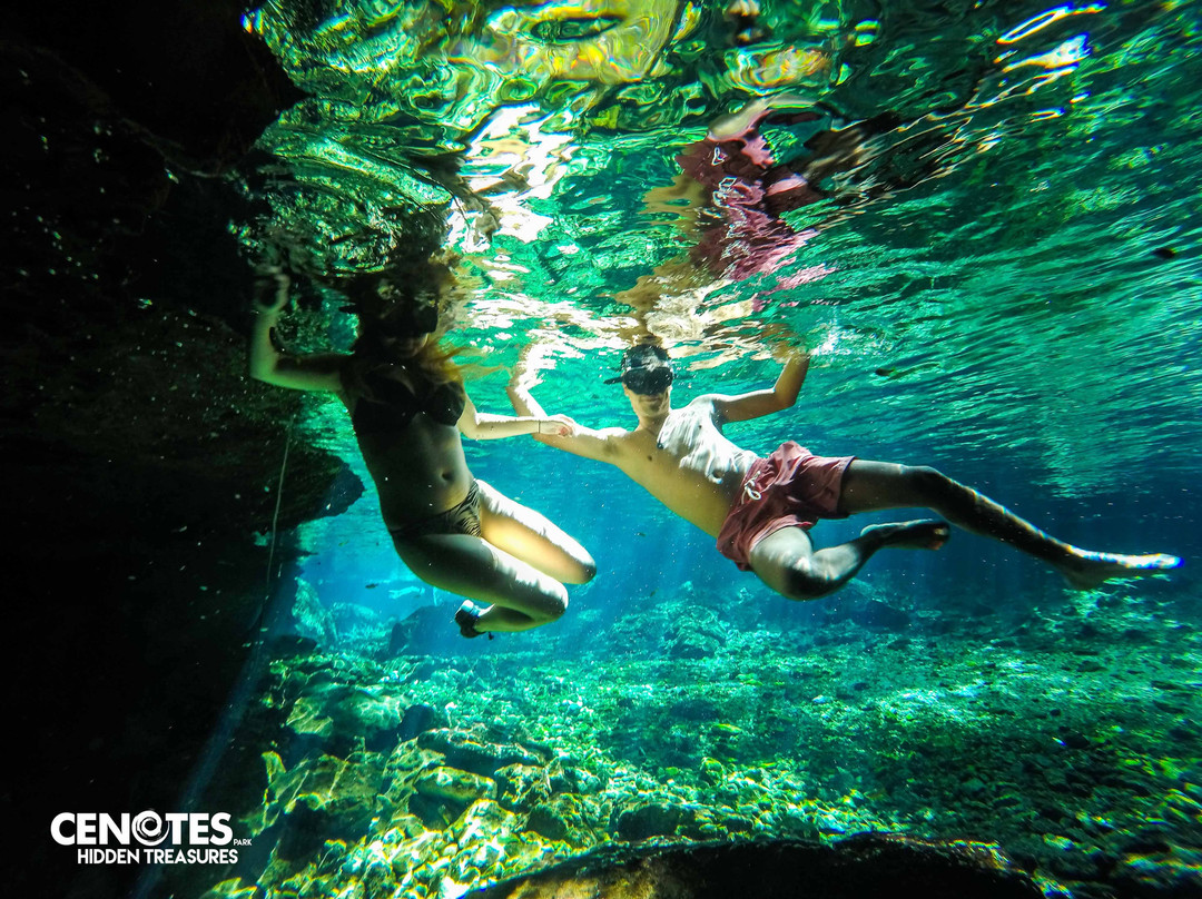 Cenotes Park Hidden Treasures-图伦必去景点