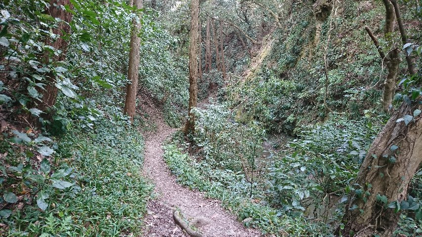Kurotaki Falls-南房总市必去景点