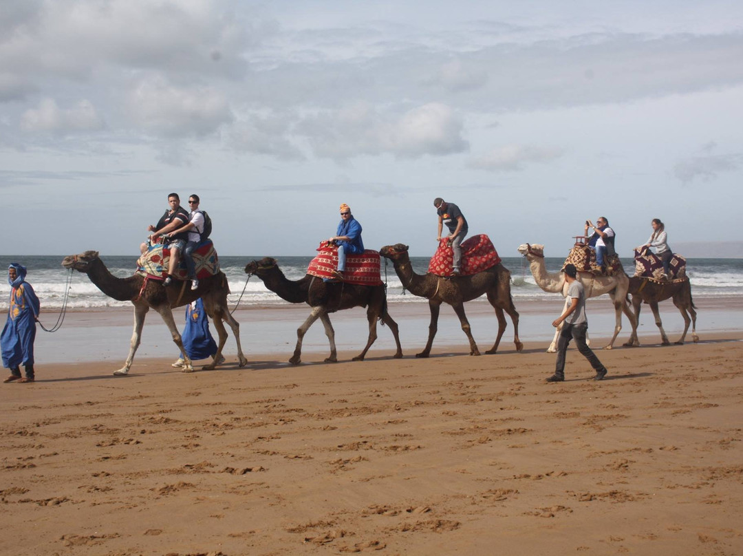 Agadir Horse & Camel-Taghazout必去景点