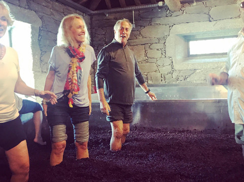 Tinto Travels-埃武拉必去景点