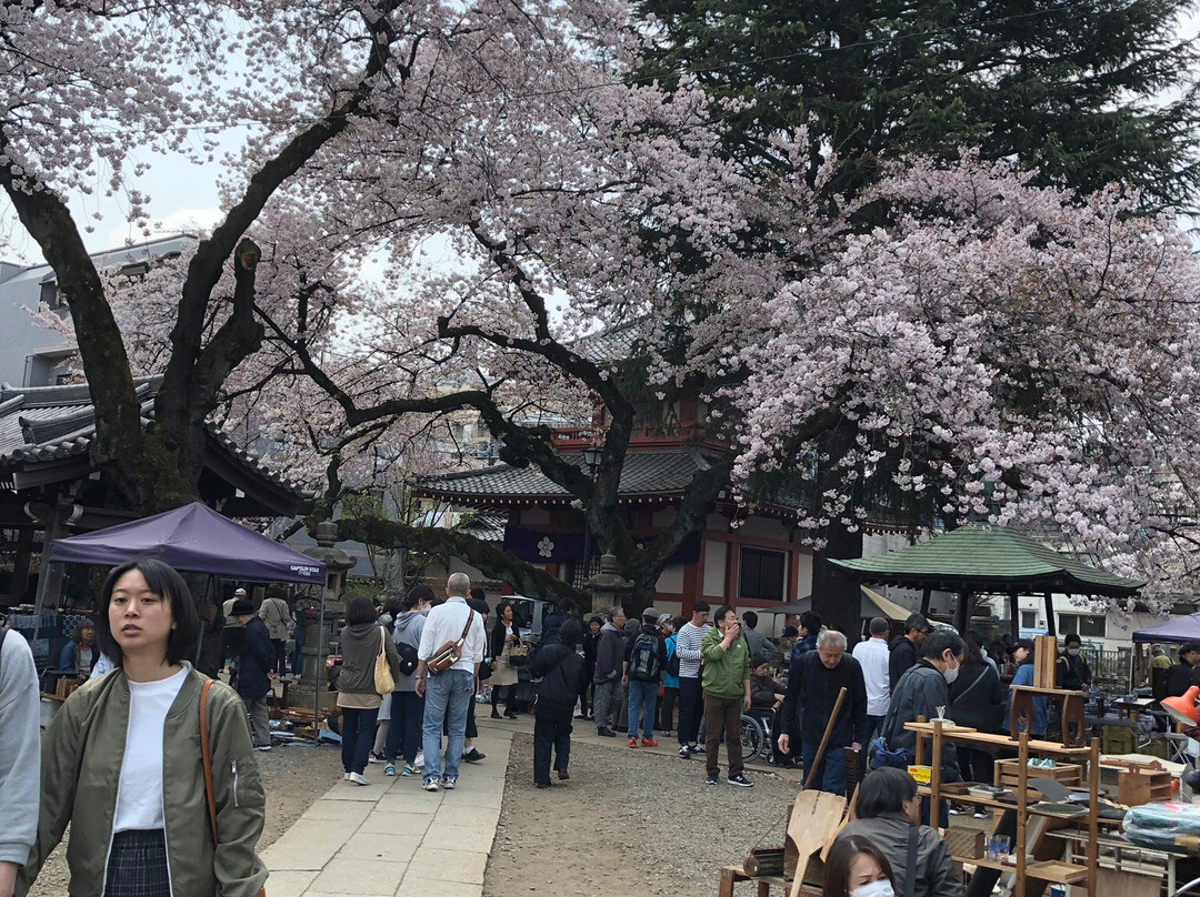 Araiyakushi Park-中野区必去景点
