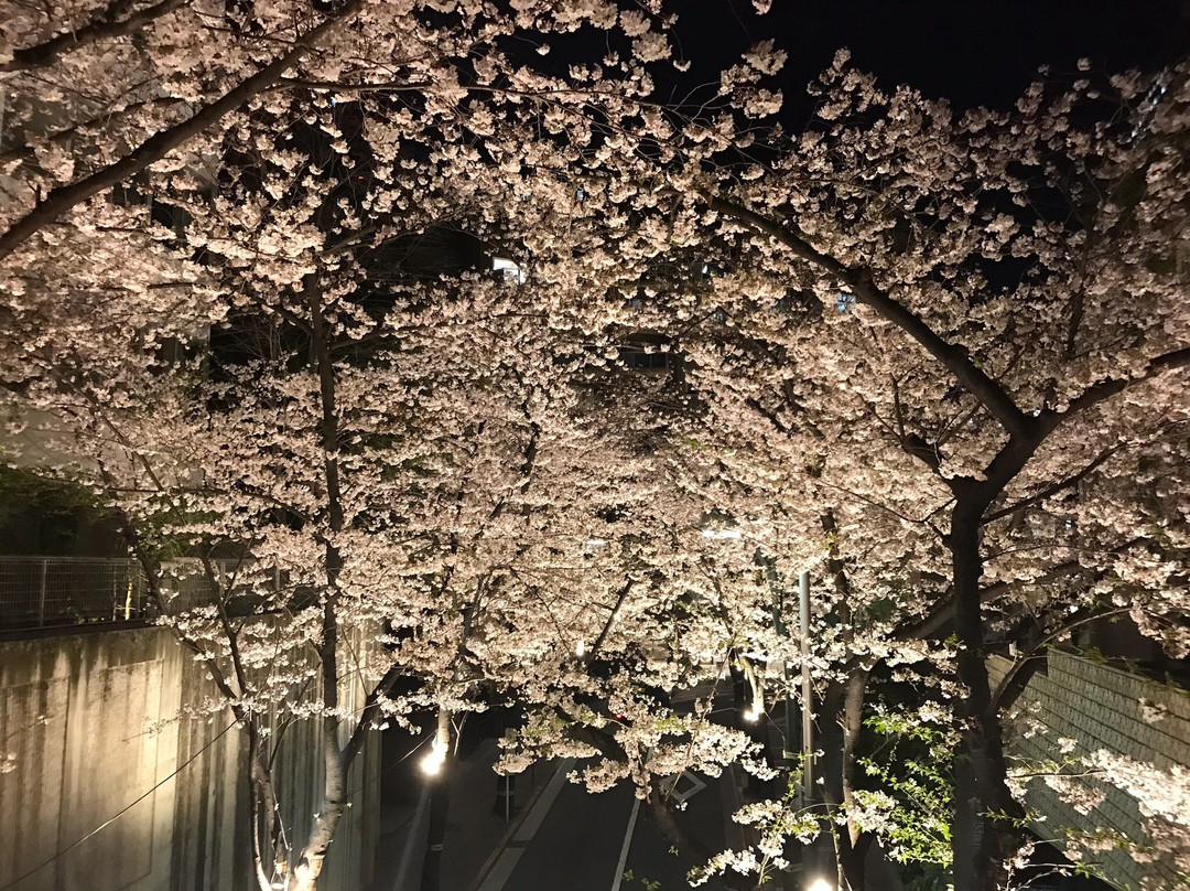 Sakurazaka-Akasaka必去景点