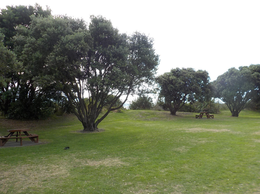 Maclean Park Playground景点图片