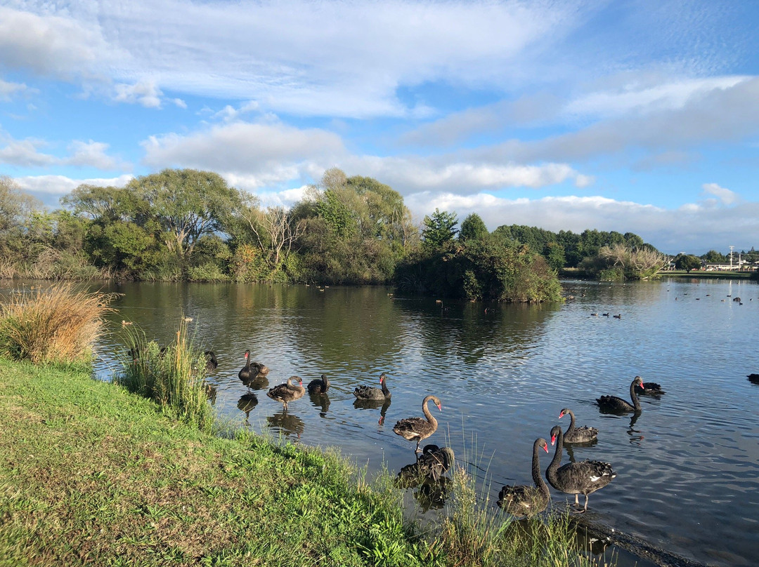 Henley Lake景点图片