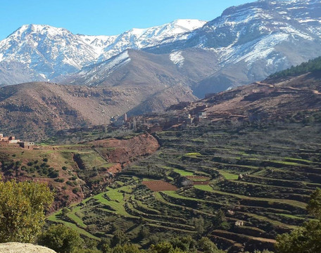 The Alternative Morocco-马拉喀什必去景点