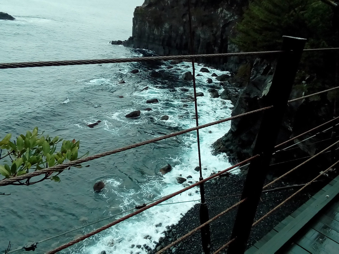 Hashidate Tsuribashi景点图片