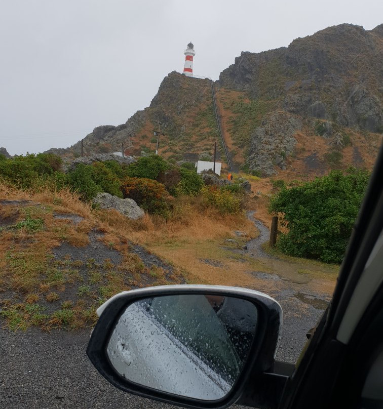 Pencarrow Lighthouse景点图片