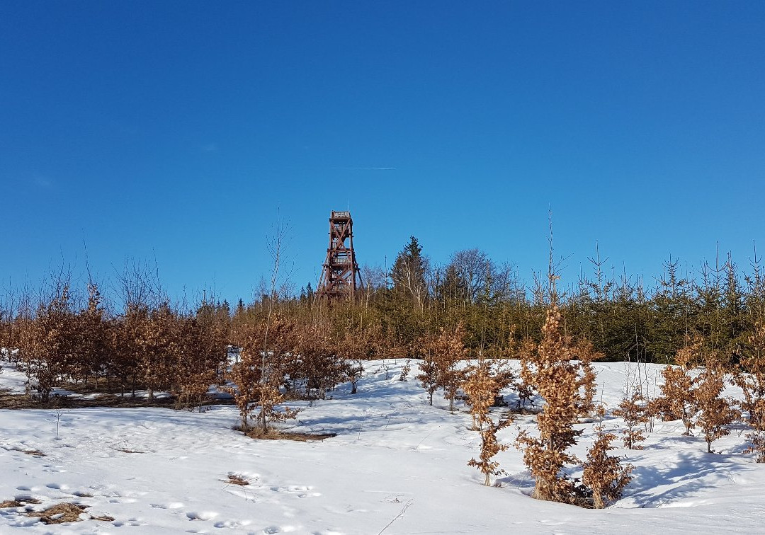 Lookout tower Na Skalce Holcovice-Mesto Albrechtice必去景点