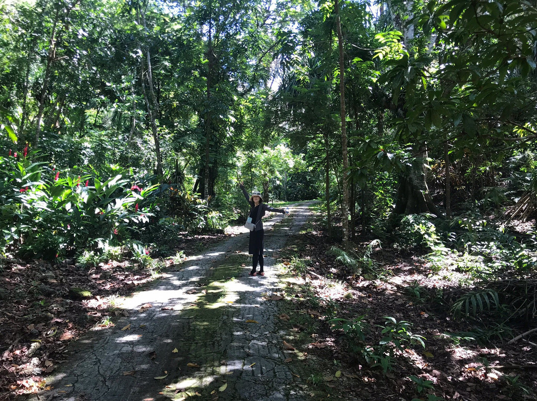 Hamamoto Tropical Fruit World-尤纳必去景点