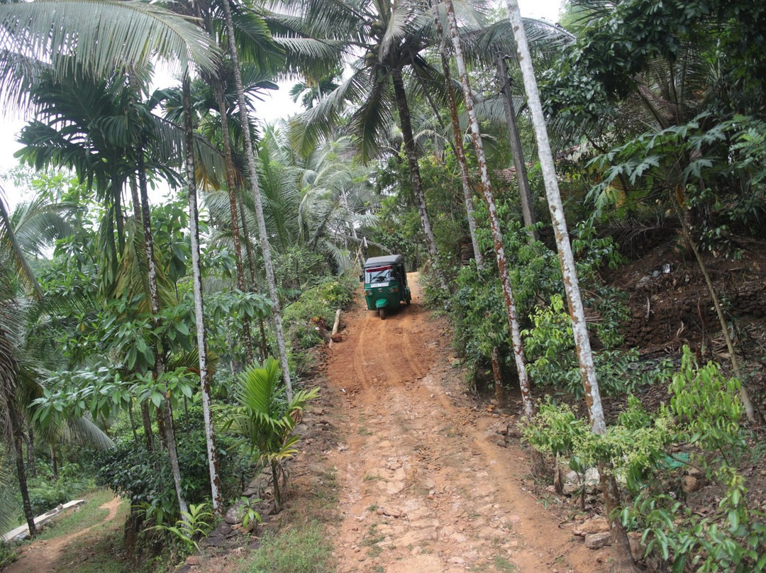 Duara Travels Neluwa-Neluwa必去景点